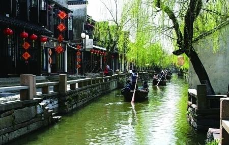《钝感力》：在人际关系方面，最为重要的就是钝感力